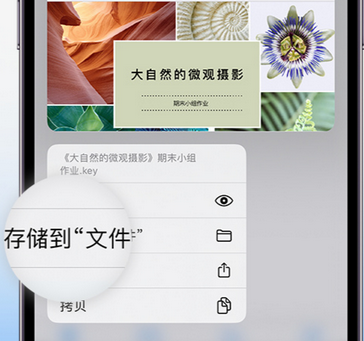 月湖apple维修中心分享iPhone文件应用中存储和找到下载文件