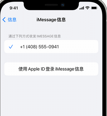 月湖apple维修iPhone上无法正常发送iMessage信息 