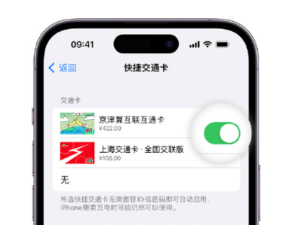 月湖apple维修点分享iPhone上更换Apple Pay快捷交通卡手绘卡面 