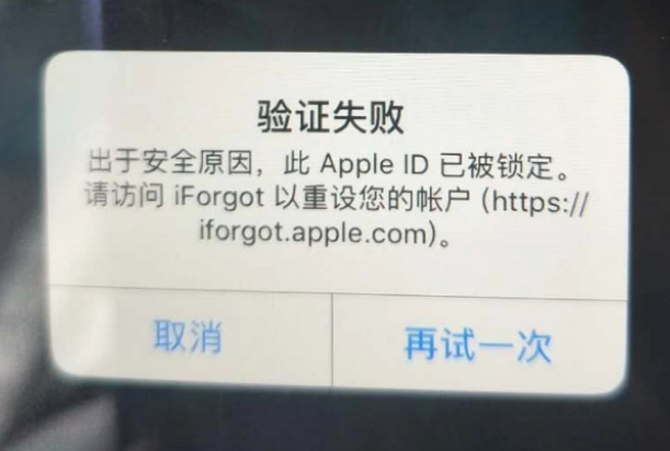 月湖iPhone维修分享iPhone上正常登录或使用AppleID怎么办 