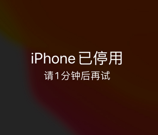 月湖苹果手机维修分享:iPhone 显示“不可用”或“已停用”怎么办？还能保留数据吗？ 