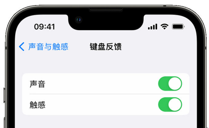 月湖苹果手机维修分享iPhone 14触感键盘使用方法 