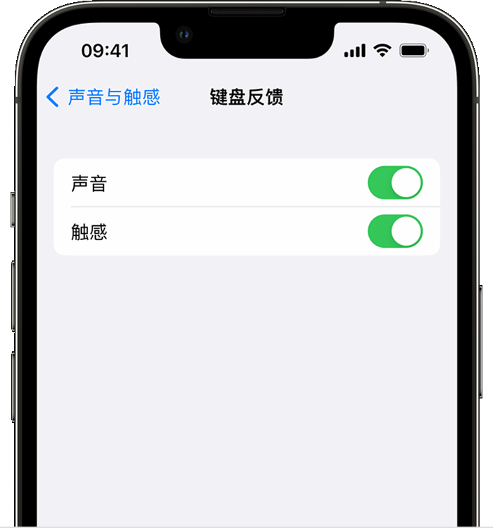 月湖苹果14维修店分享如何在 iPhone 14 机型中使用触感键盘 