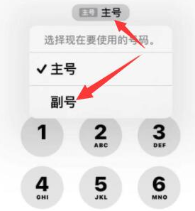 月湖苹果14维修店分享iPhone 14 Pro Max使用副卡打电话的方法 