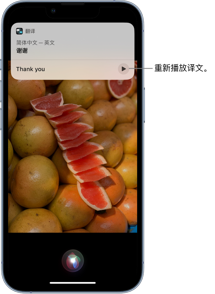 月湖苹果14维修分享 iPhone 14 机型中使用 Siri：了解 Siri 能帮你做什么 