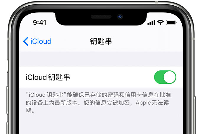 月湖苹果手机维修分享在 iPhone 上开启 iCloud 钥匙串之后会储存哪些信息 