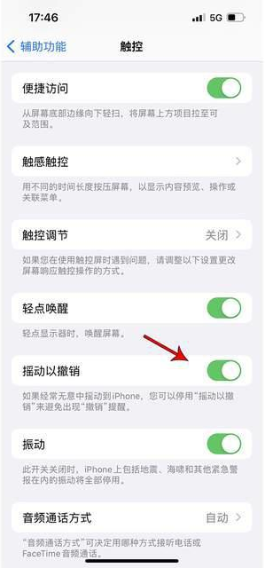 月湖苹果手机维修分享iPhone手机如何设置摇一摇删除文字 