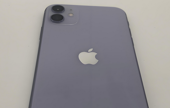 月湖苹果11系统维修分享iPhone11手机系统崩溃无法开机如何解决 
